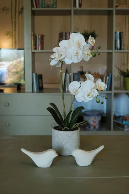 Apartment With Garden In Thessaloniki. Екстер'єр фото